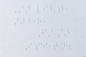 d30n LLC, Portland Oregon, Braille Typography