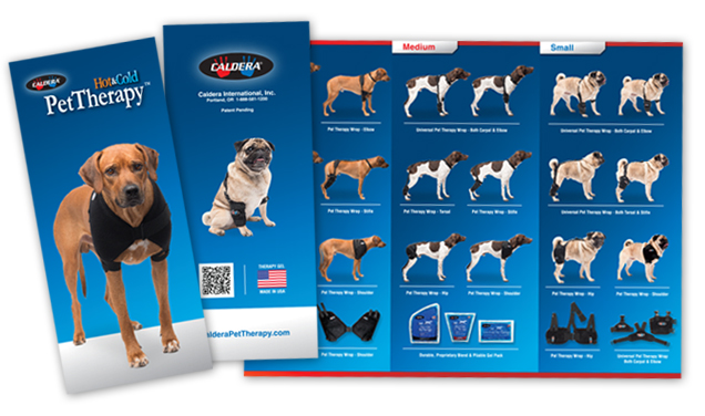 Caldera Pet Therapy – Sales Brochure