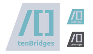d30n LLC, Graphic Design, Branding, Portland Oregon, Logo, Branding, Ten Bridges, tenBridges, Style Guide, App Developers, Code Developers